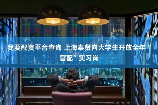 我要配资平台查询 上海奉贤向大学生开放全年“官配”实习岗