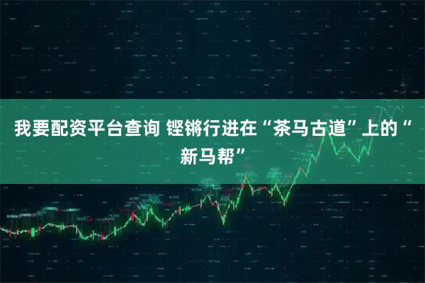 我要配资平台查询 铿锵行进在“茶马古道”上的“新马帮”