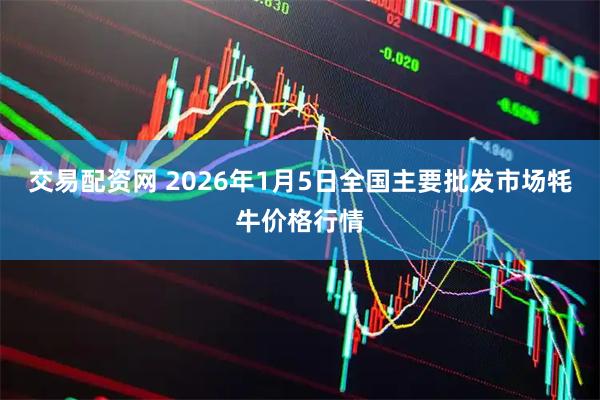 交易配资网 2026年1月5日全国主要批发市场牦牛价格行情